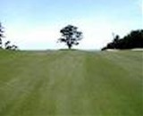 �x���r�[�`�S���t�N���u